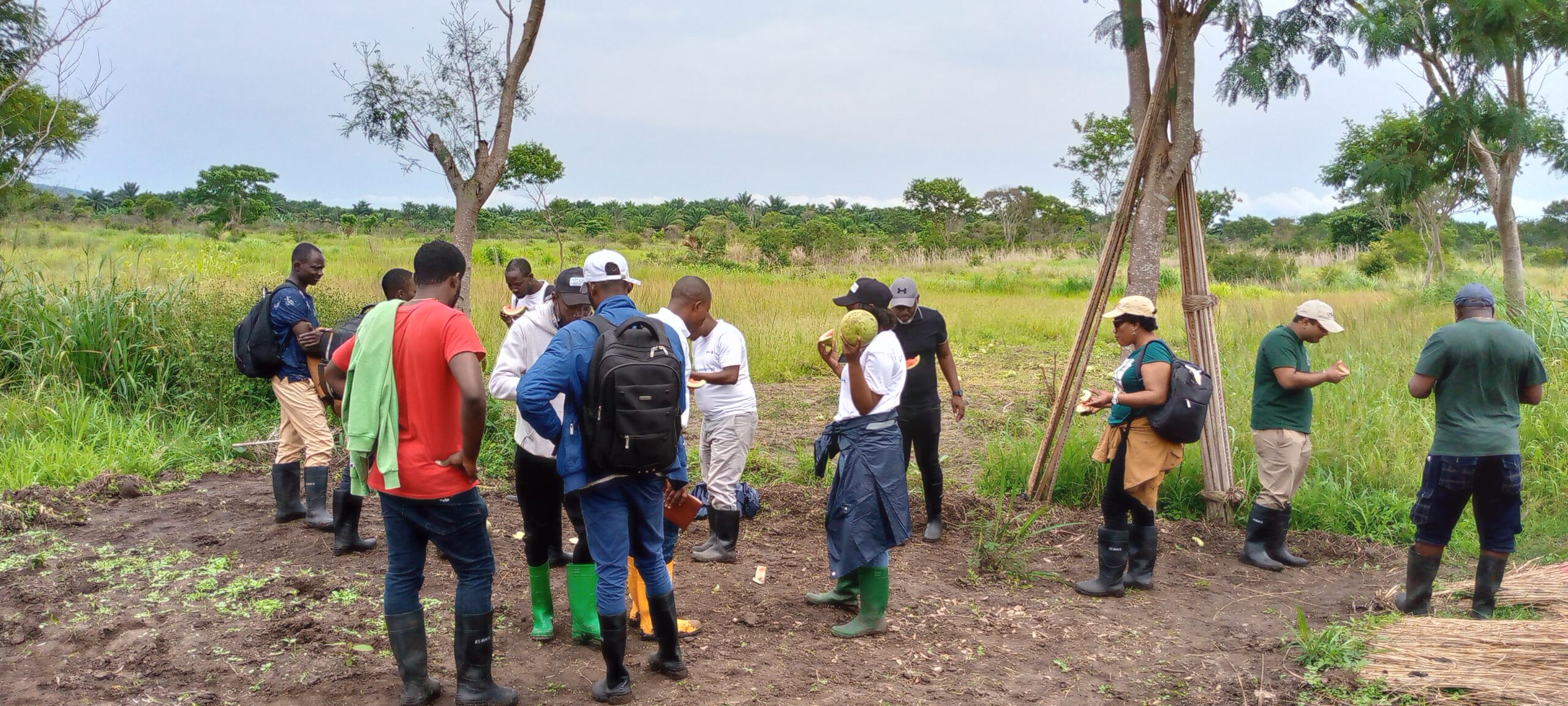 IMG_20230121_130419_273